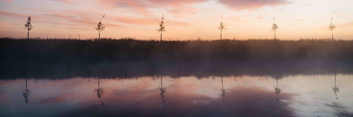 Niederneuendorfer-Kanal mit Bäumen
