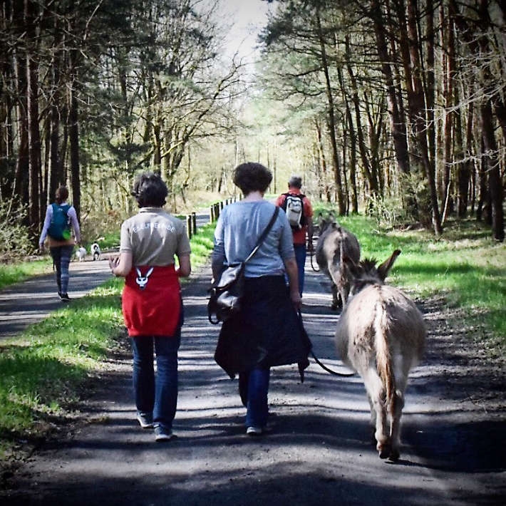 Eselwanderung Wandern mit Eseln