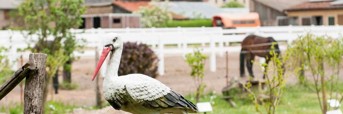 Waldschule Pausin mit Storch