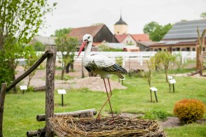 Waldschule Pausin mit Kirche im Hintergrund Pausin