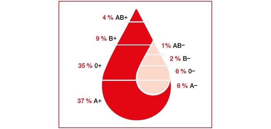 Blutgruppenverteilung in der Bevölkerung