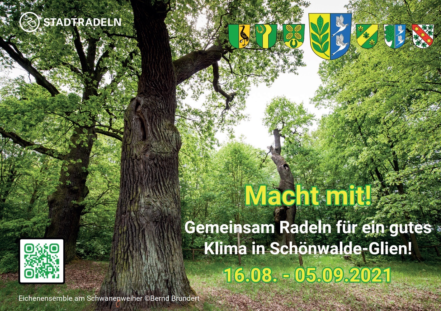 Postkarte Aufruf Teilnahme Stadtradeln