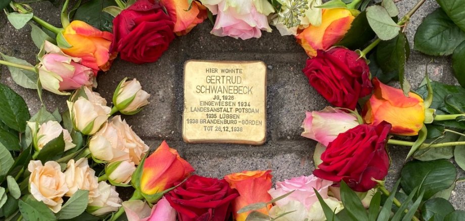 Stolperstein für Gertrug Schwanebeck Stolperstein für Gertrug Schwanebeck